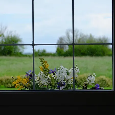 Independante Avec Vue Sur Et Marais Du Littoral, Salle De Bain Et Wc Privatifs , Kitchenette Et Terrasse Partagees Pansiyon *