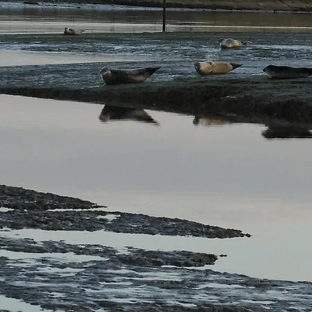 Independante Avec Vue Sur Et Marais Du Littoral, Salle De Bain Et Wc Privatifs , Kitchenette Et Terrasse Partagees *