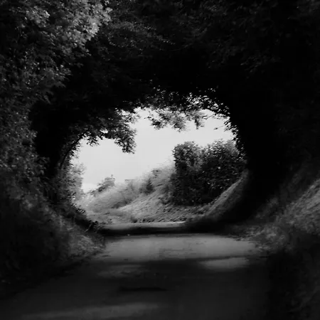 Independante Avec Vue Sur Et Marais Du Littoral, Salle De Bain Et Wc Privatifs , Kitchenette Et Terrasse Partagees *