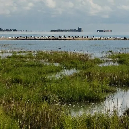 Independante Avec Vue Sur Et Marais Du Littoral, Salle De Bain Et Wc Privatifs , Kitchenette Et Terrasse Partagees