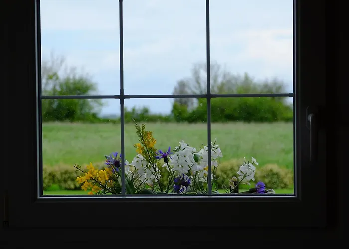 Indépendante Avec Vue Sur Et Marais Du Littoral, Salle De Bain Et Wc Privatifs , Kitchenette Et Terrasse Partagées Séjour chez l'habitant *