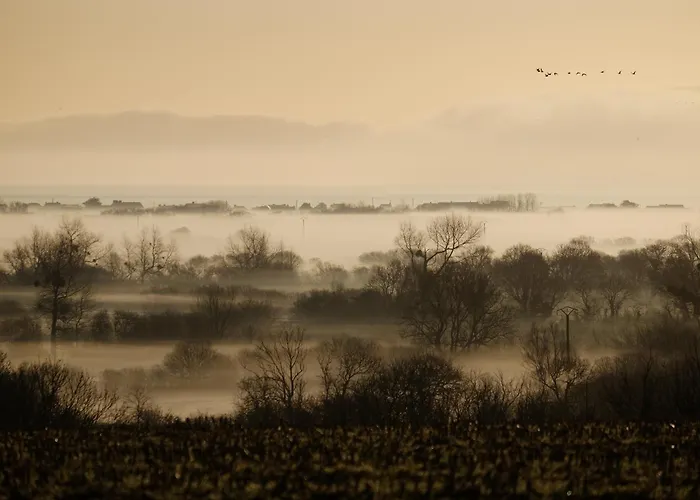 Indépendante Avec Vue Sur Et Marais Du Littoral, Salle De Bain Et Wc Privatifs , Kitchenette Et Terrasse Partagées * Fontenay-sur-Mer