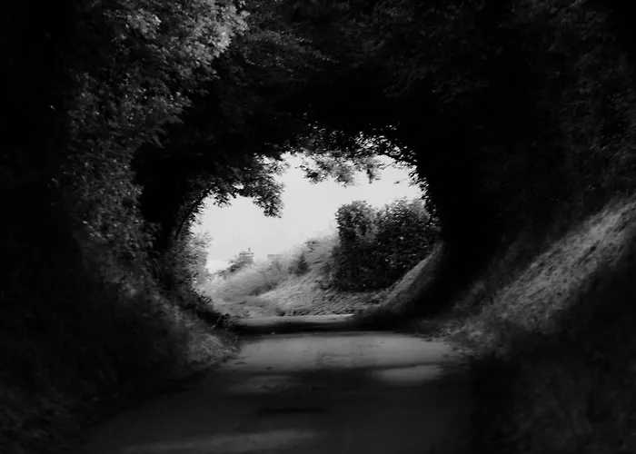 Indépendante Avec Vue Sur Et Marais Du Littoral, Salle De Bain Et Wc Privatifs , Kitchenette Et Terrasse Partagées *