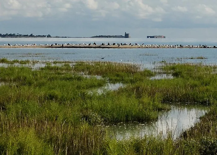 Indépendante Avec Vue Sur Et Marais Du Littoral, Salle De Bain Et Wc Privatifs , Kitchenette Et Terrasse Partagées